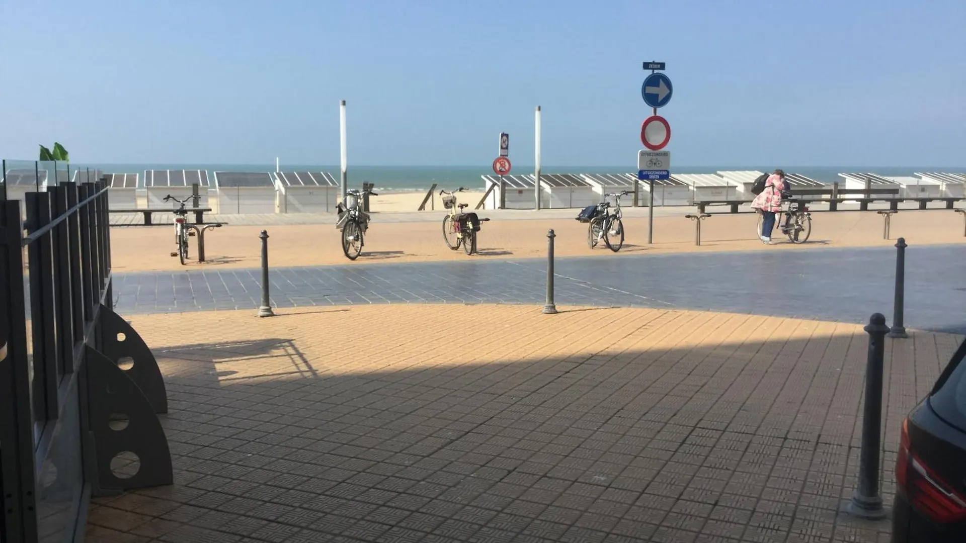 Studio Hippique Ostende